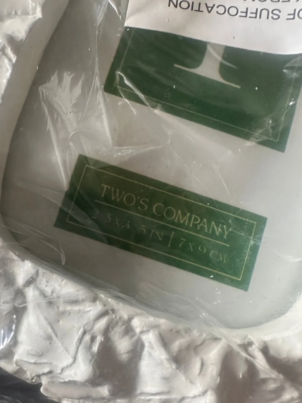 NEW Two's Company White Pineapple Picture Frames - Set of 2